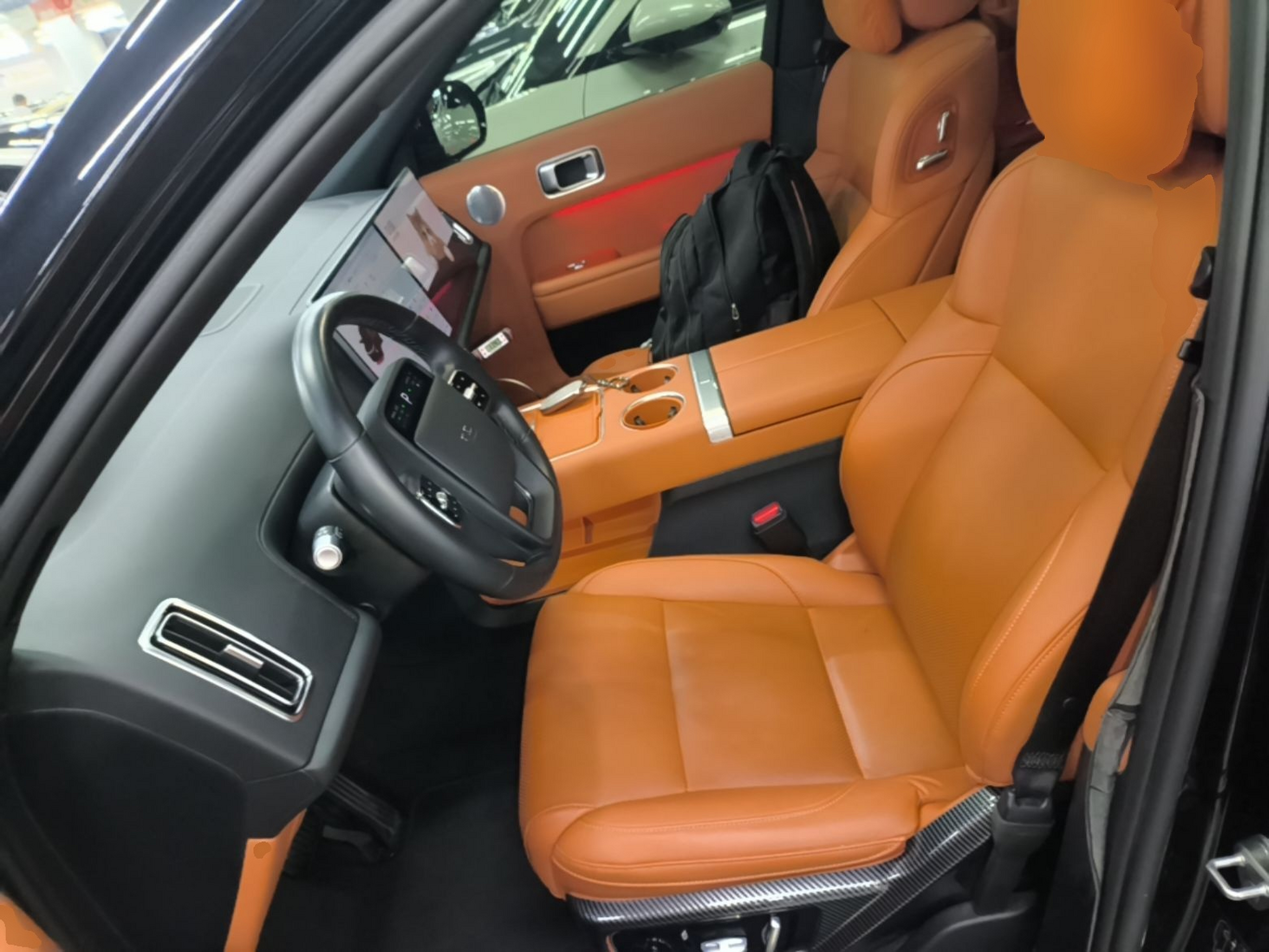 Interior delantero