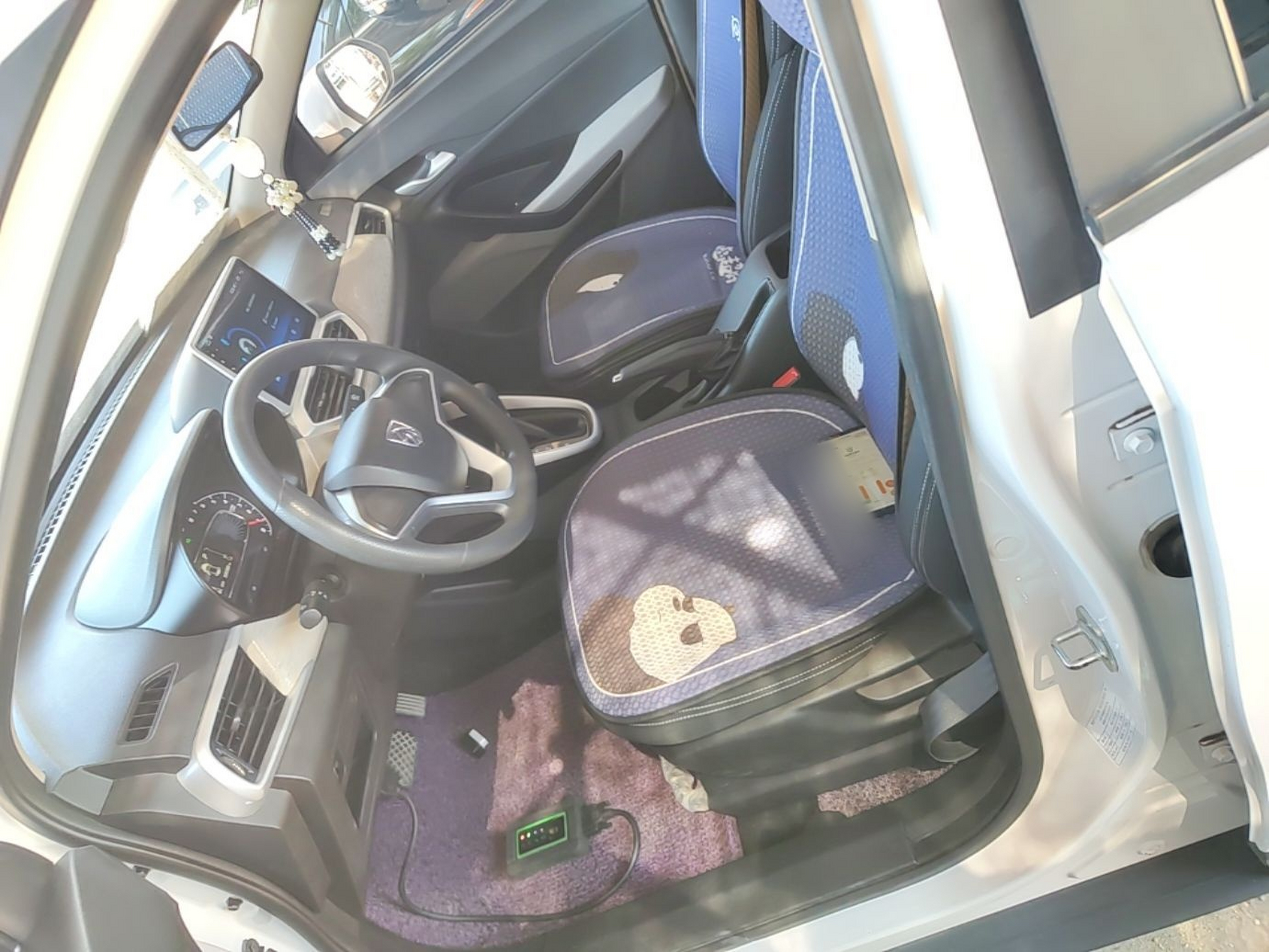 Interior delantero