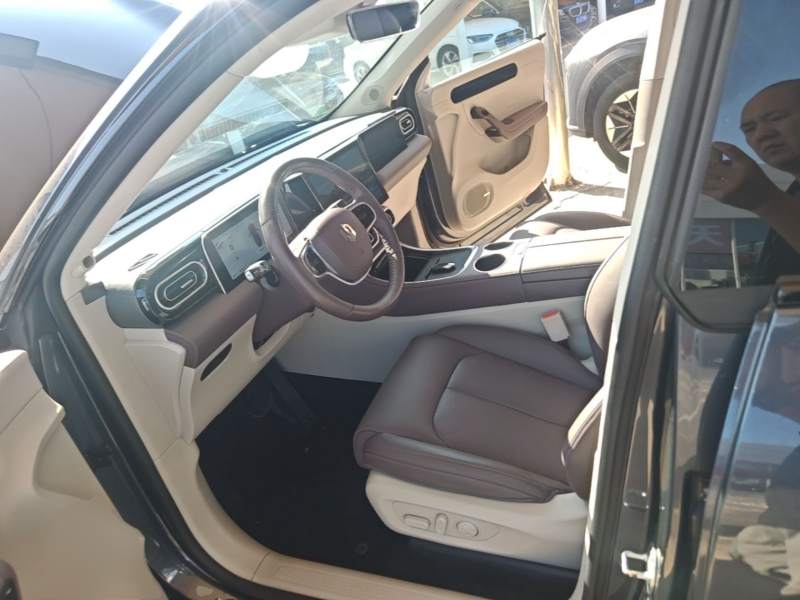 Used Leapmotor C11 2023 Pure Electric 500 Comfort Edition — 14