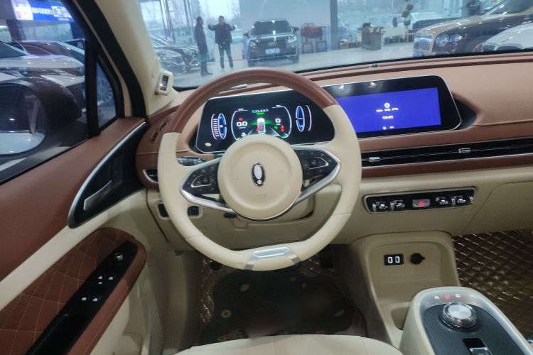 Used ORA Good Cat 2021 500km Long-Range Poseidon Edition Lithium-Ion Battery