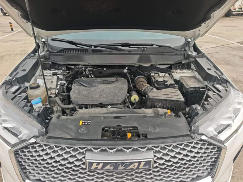 Used Haval H6 2024 1.5T Two-Wheel-Drive Classic Edition — 19