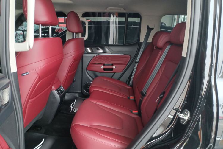 Used Tank 300 2025 2.4T Diesel Version