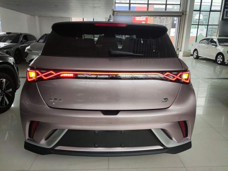 Used BYD Dolphin 2023 401km Knight Edition — 5