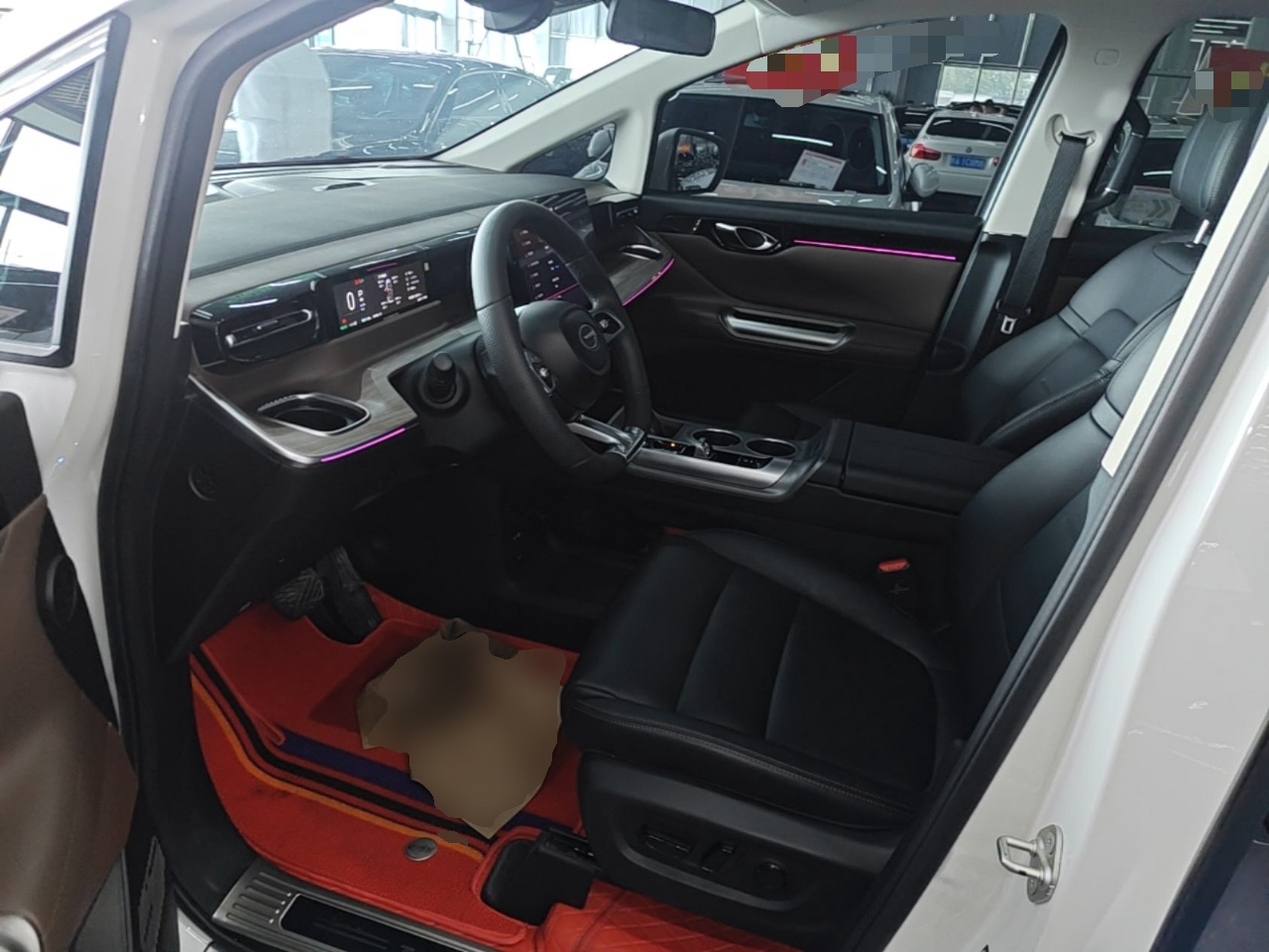 Interior delantero