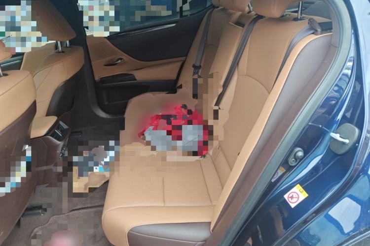 Used Lexus ES 2018 200 Excellence Edition China VI Standard