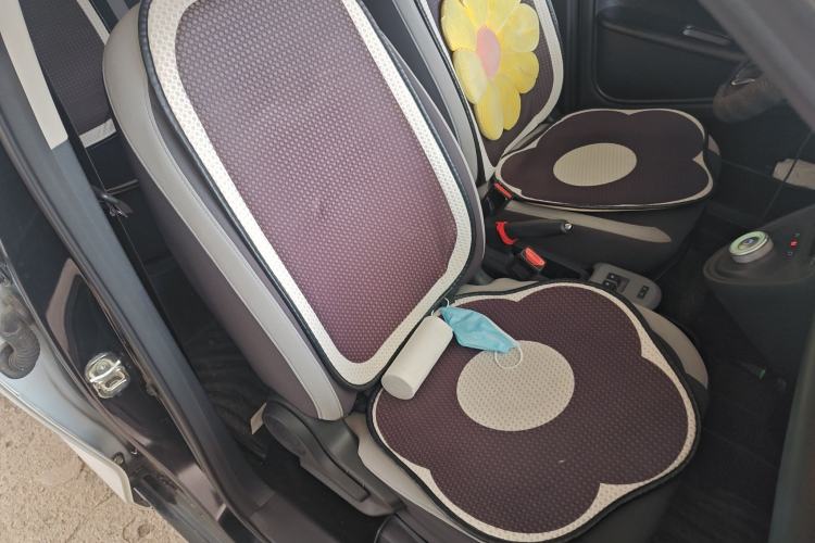 Used ORA Black Cat 2021 301 km Basic Version Right Front Seat