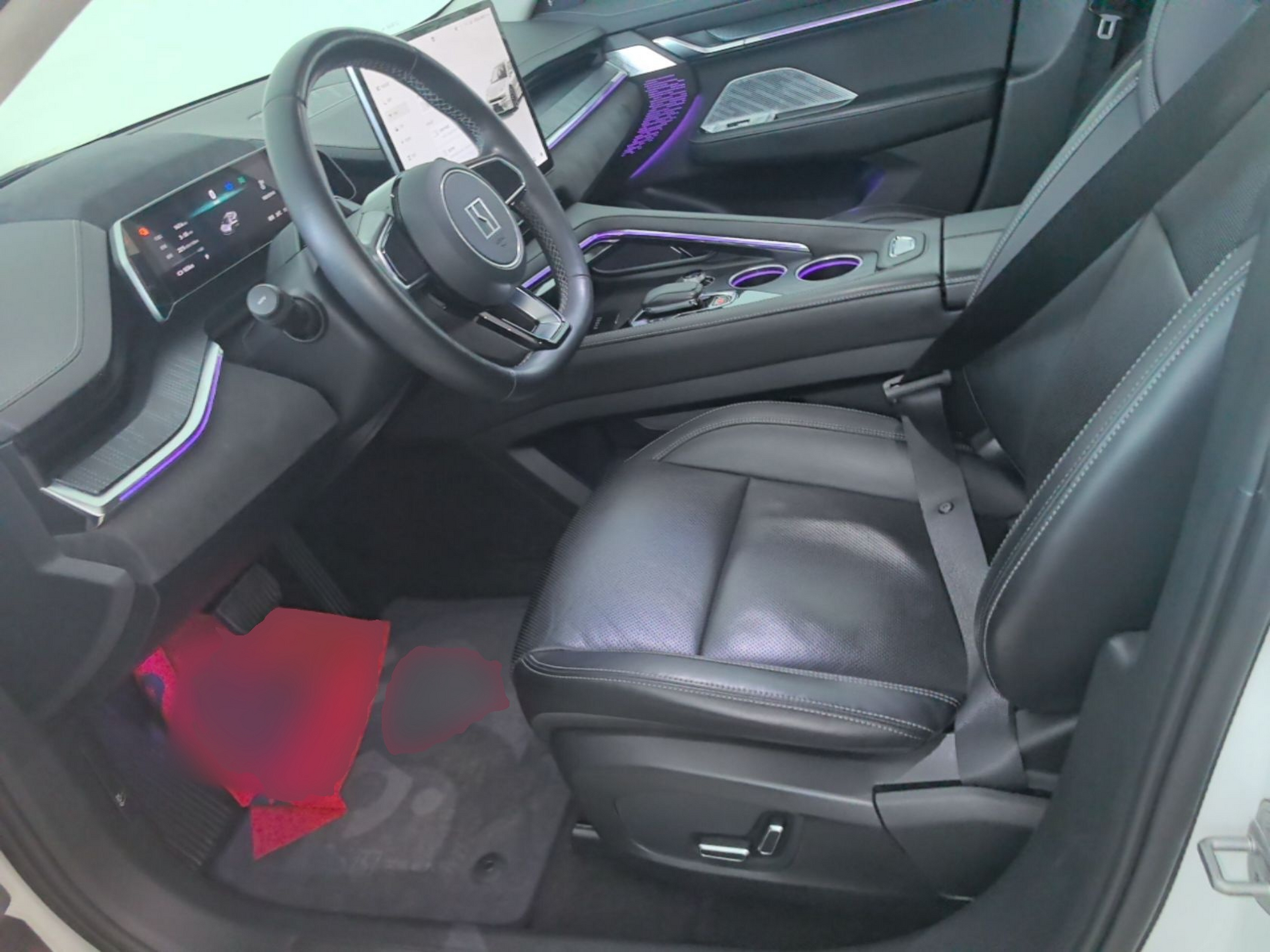Interior delantero