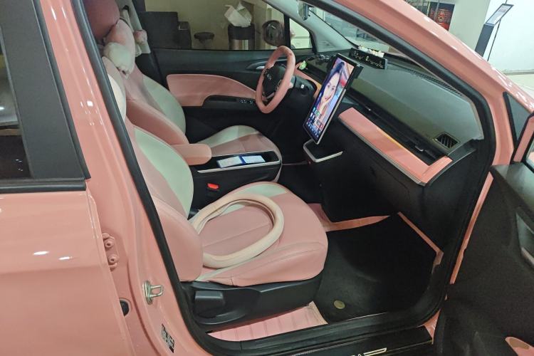 Used NETA V 2021 Witch Edition Right Front Seat