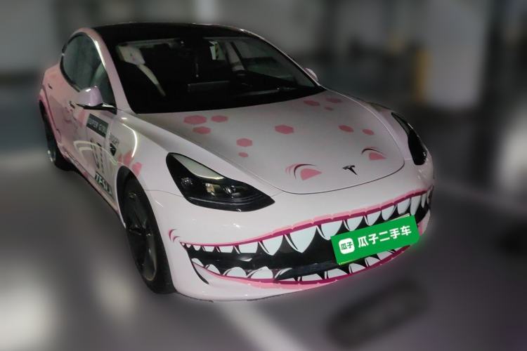 Used Tesla Model 3 2022 Rear-Wheel-Drive Version Front Right 45 Deg