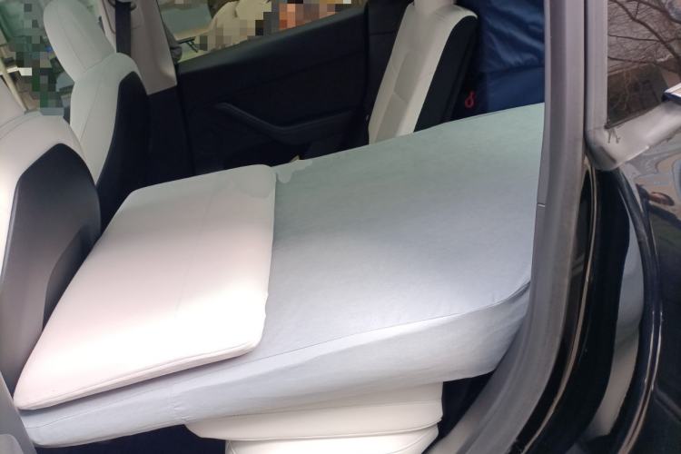 Used Tesla Model Y 2022 Performance High-Performance All-Wheel-Drive Version
