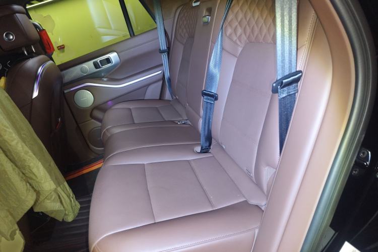 Used Tank 700 New Energy 2024 Hi4-T Ultimate Edition Left Rear Seat