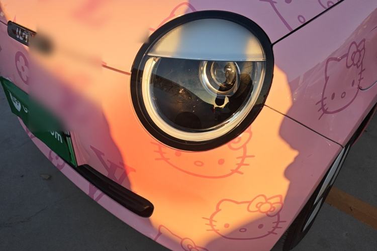 Used Qiyuan Lumin 2023 205km Xiangqin Version
