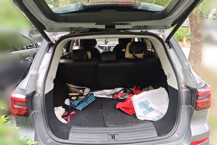 Used Roewe RX5 2020 PLUS 300TGI Automatic Ali National Style Ronglin Edition
