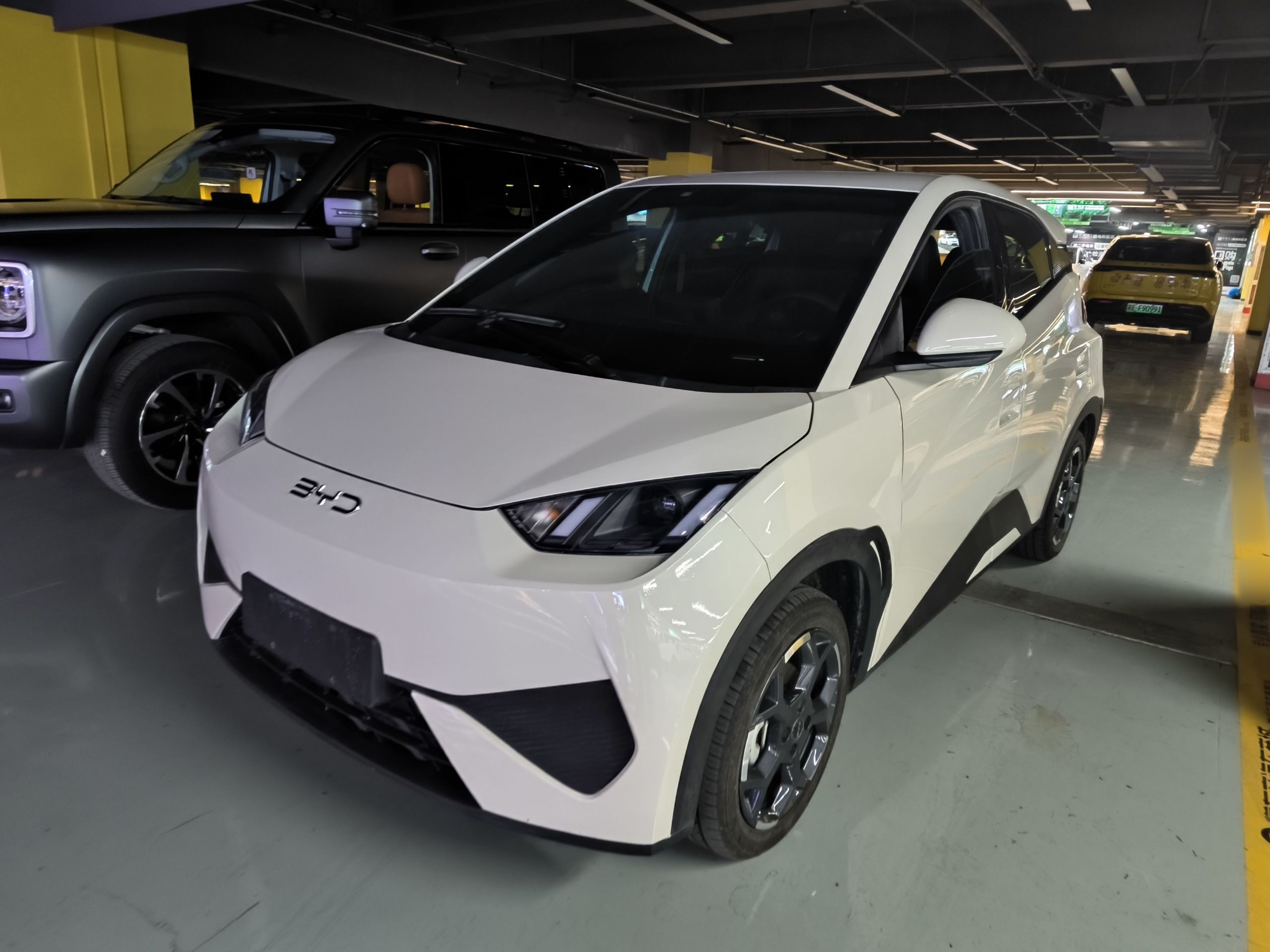 تحت مقدمة السيارة