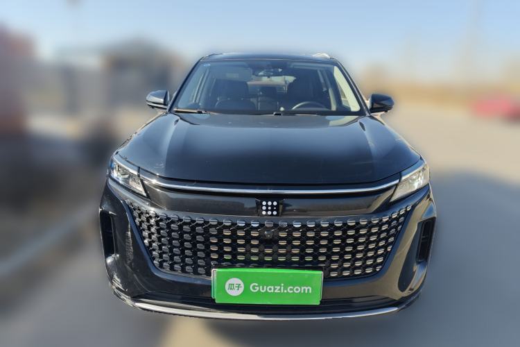 Used Landian E5 2024 Honor Edition 100KM Deluxe 7-Seater Exterior 1
