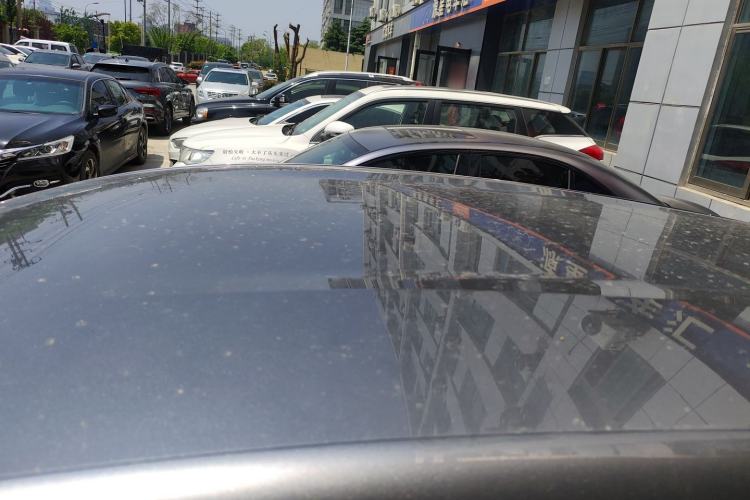 Used BYD Dolphin 2023 420 km Free Version
