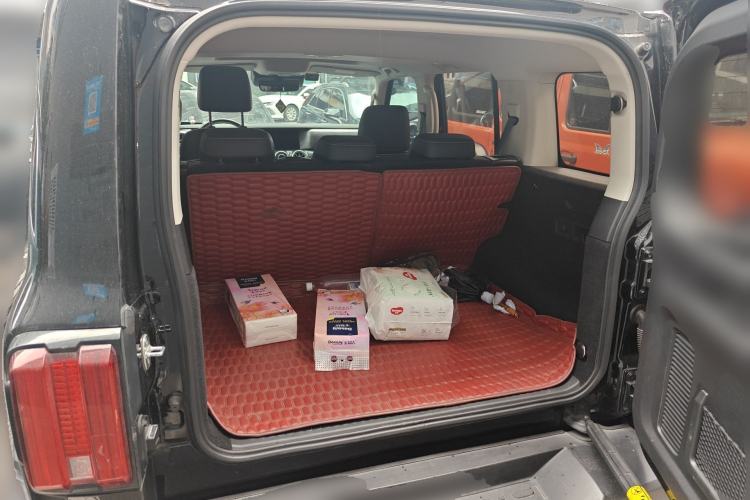 Used Tank 300 2021 City Edition 2.0T—Truly Stylish
