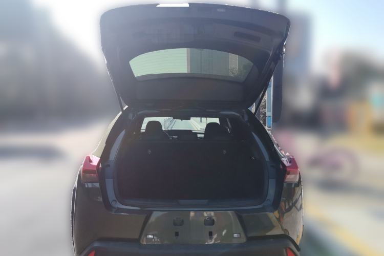 Used Lexus UX New Energy 2020 300e Pure·Joy Edition