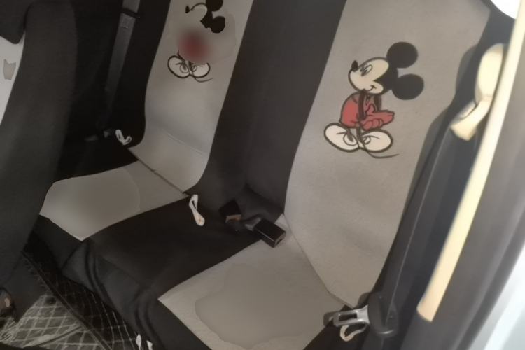 Used Wuling Hongguang MINIEV 2020 Lite Version Lithium Iron Phosphate