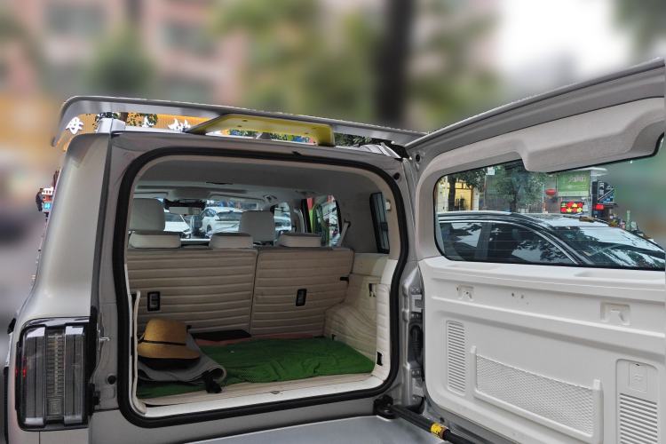 Used Cyberspace Tank 300 2021 2.0T Cyber Tank