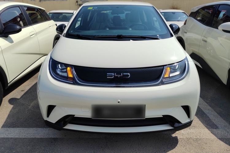 Used BYD Dolphin 2025 420km Free Edition