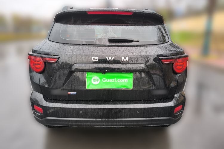 Used Haval H Dog 2026 Model 2.0T Trendy Wilderness Edition
