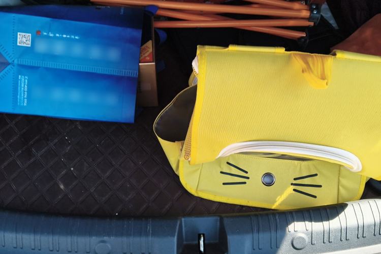 Used BYD Qin L 2024 DM-i 80KM Leading Model Trunk