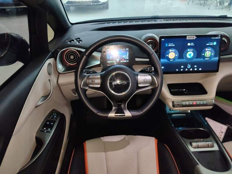 Used BYD Dolphin 2021 405 km Fashion Edition — 10