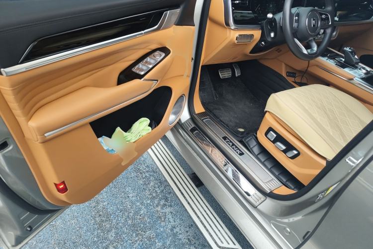 Used Tank 500 New Energy 2023 Hi4-T Driver Seat