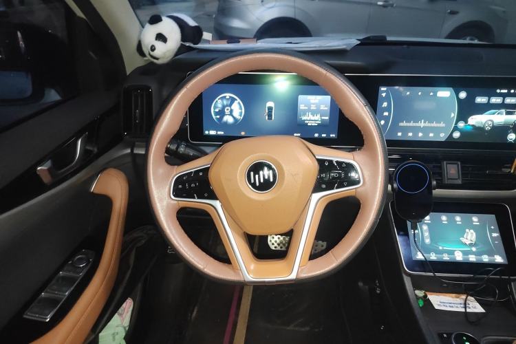 Used WM Motor W6 2021 520km PRO All-Round Edition
