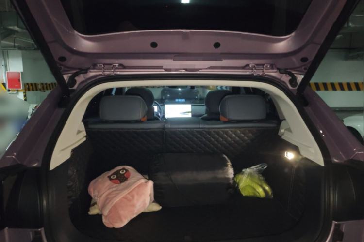 Used ARCFOX T1 2025 Model 425 MAX
