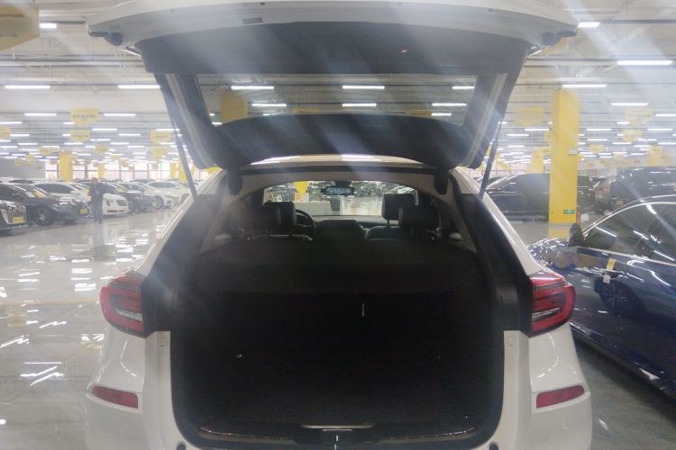 Used Honda Avancier 2020 370TURBO Four-Wheel Drive Premium Edition