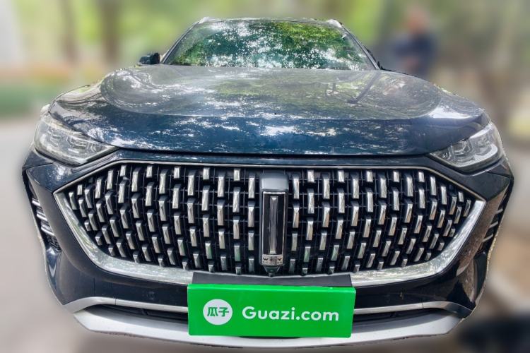 Used Wey Mocha 2021 2.0T Two-Wheel-Drive Premium Edition
