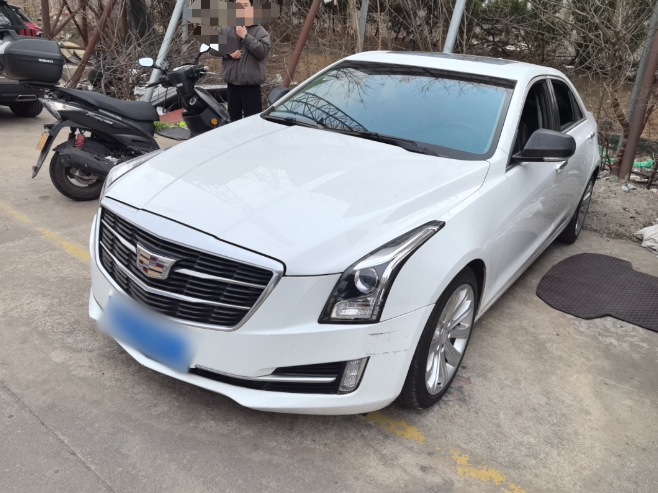 Parte inferior delantera