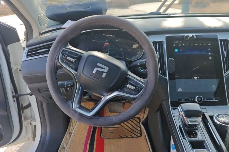 Used Rising ER6 2021 New Dynamic Edition 620km Smart Drive Version
