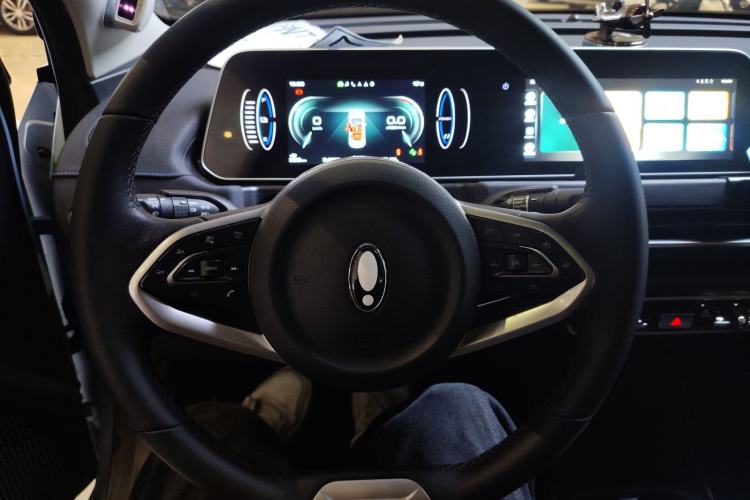 Used ORA Good Cat 2021 400km Standard Range Athena Edition Lithium Iron Phosphate
