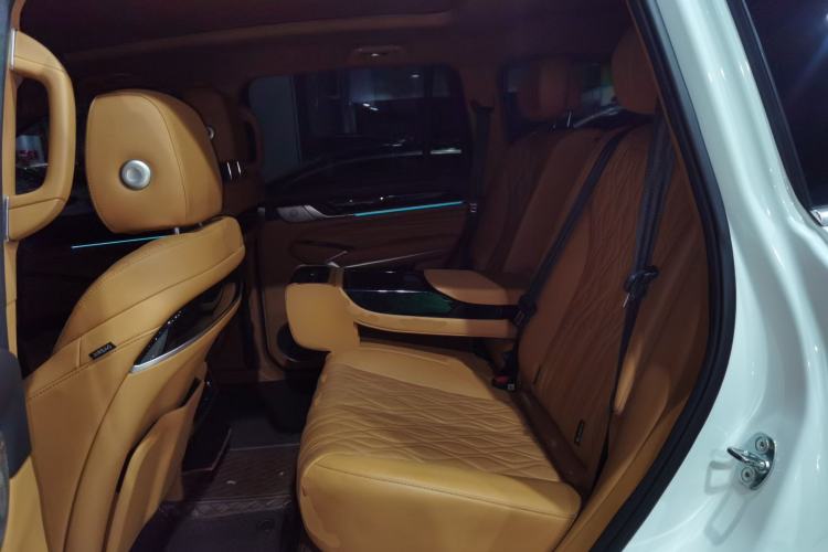 Used Tank 500 New Energy 2023 Hi4-T Left Rear Seat