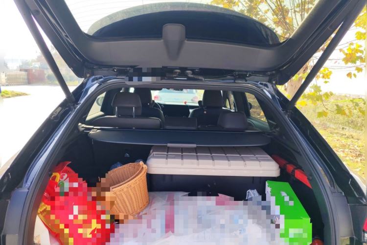 Used Lexus RX New Energy 2023 450h+ Four-Wheel Drive Enjoyment Edition
