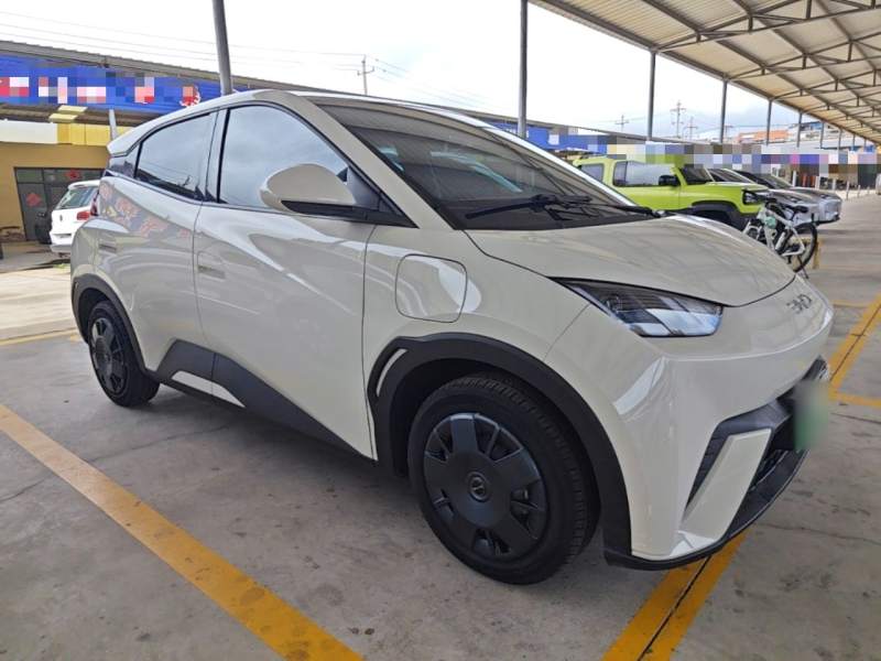 Used BYD Seagull 2025 305km Active Version — 3