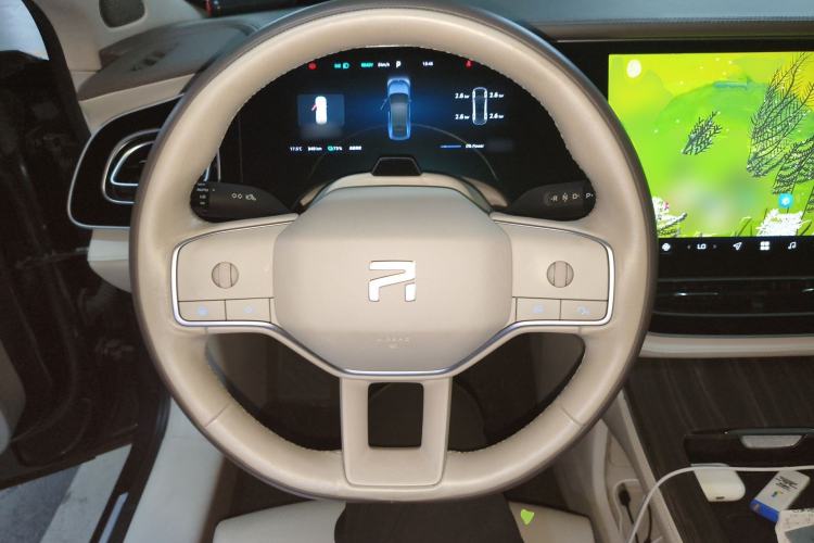 Used Rising F7 2023 Long-Range Pro Edition Steering Wheel