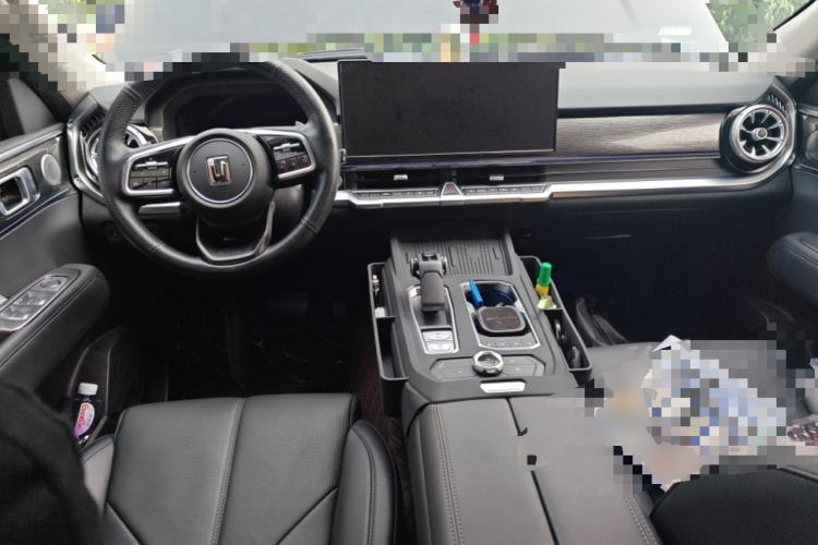 Used Tank 400 New Energy 2024 Hi4-T City Edition Center Console