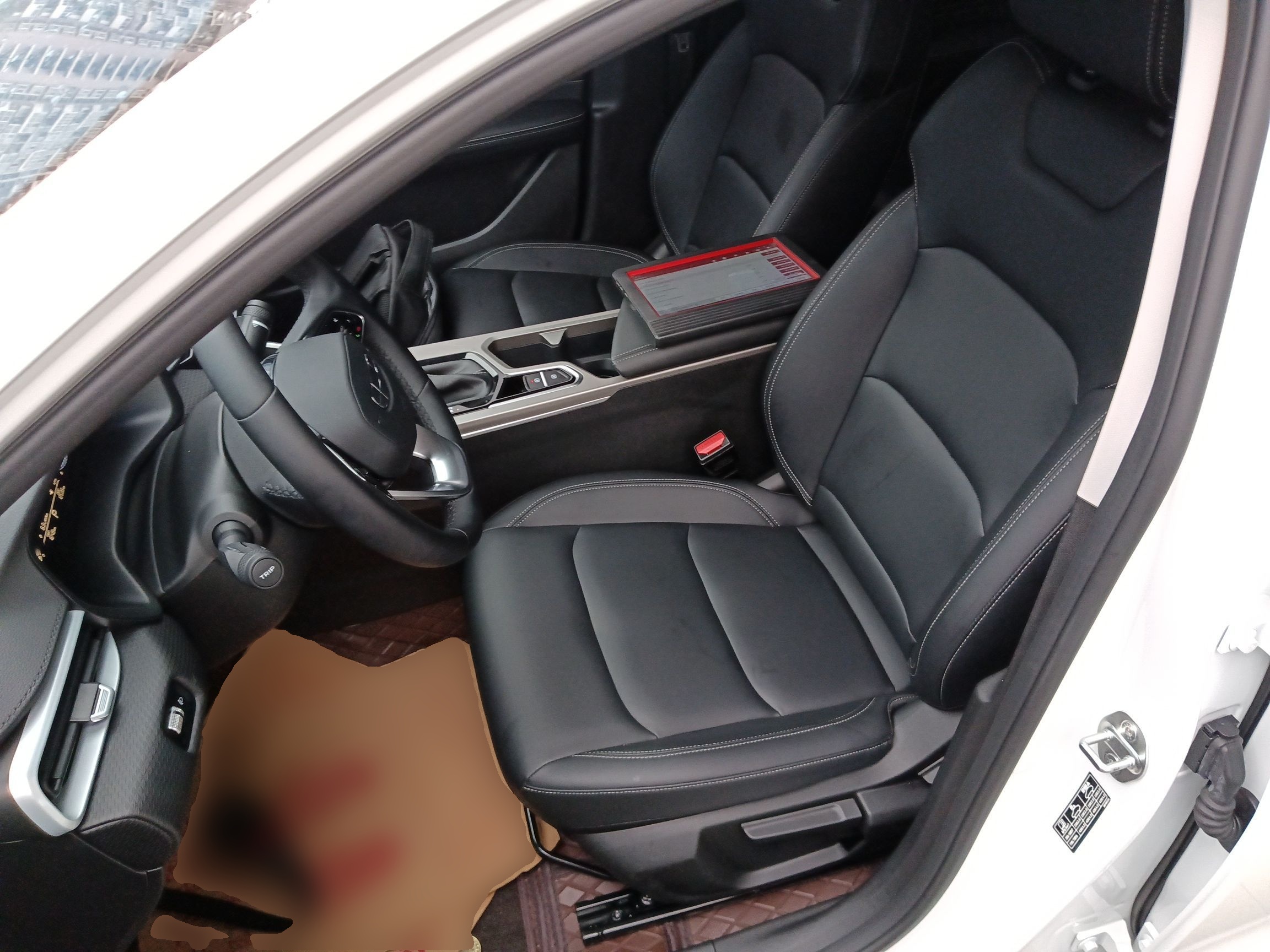 Interior delantero