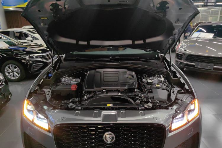 Used Jaguar F-PACE 2024 P250 R-Dynamic SE
