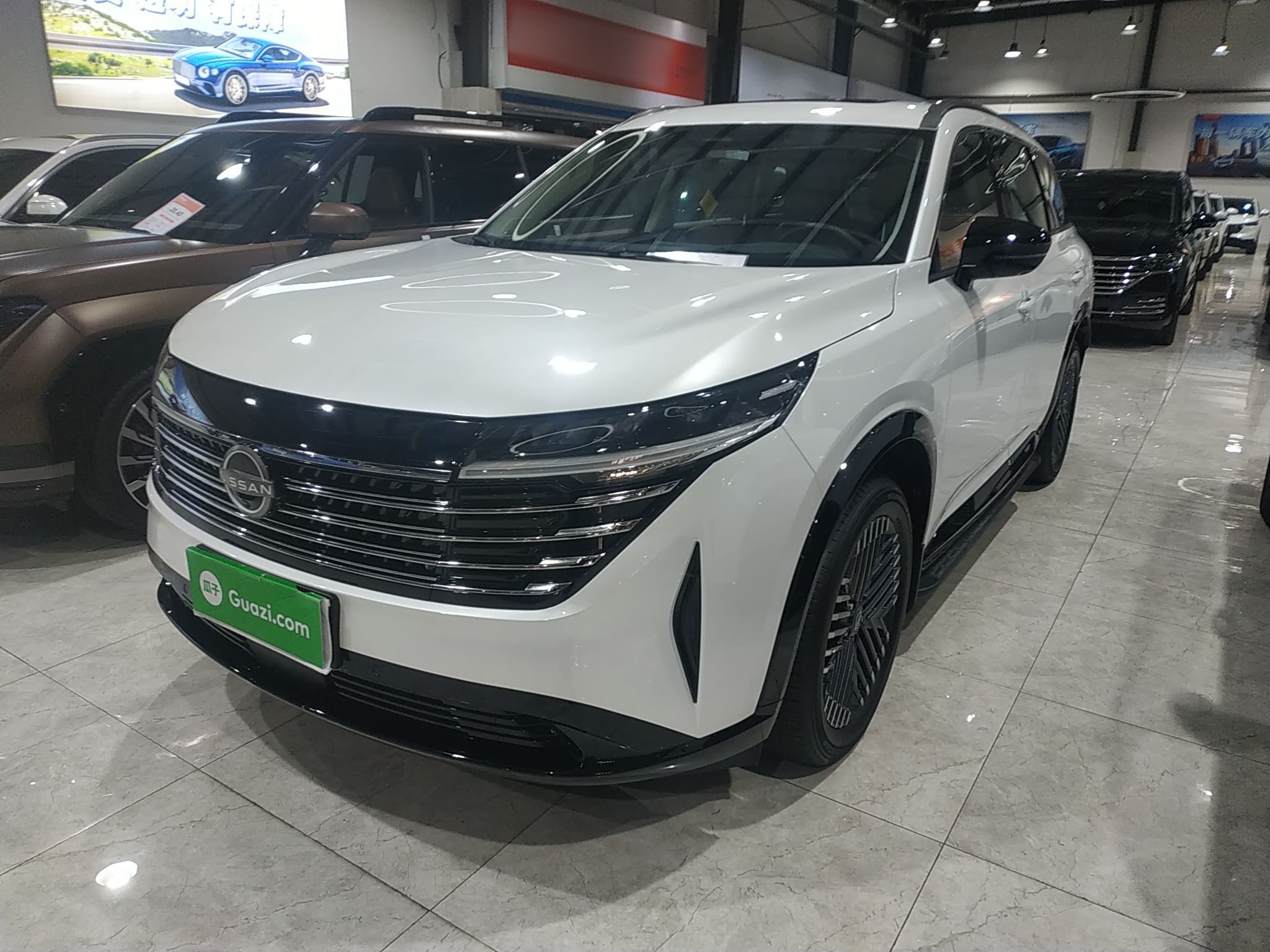 Parte inferior delantera