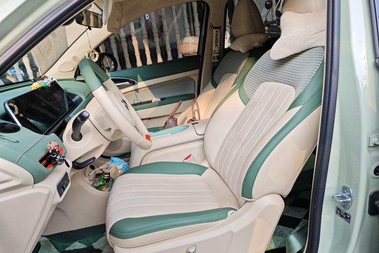 Used ORA Good Cat 2024 401 km Luxury Version Left Front Seat