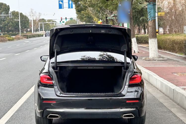 Used BMW 5 Series 2021 530Li Luxury Edition Premium Package Exterior 3