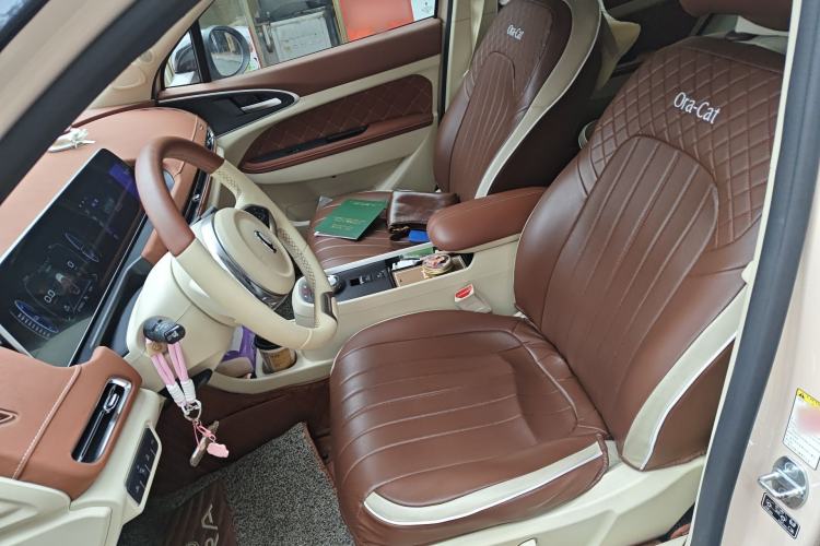 Used ORA Good Cat 2022 Morandi Edition 400km Standard Range Luxury Version Lithium-Ion Battery Left Front Seat