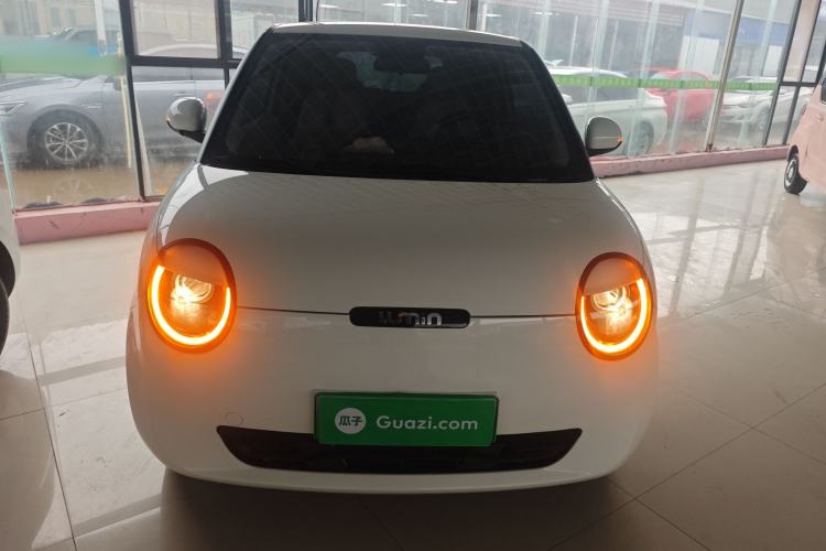 Used Qiyuan Lumin 2023 205km Xiangqin Version
