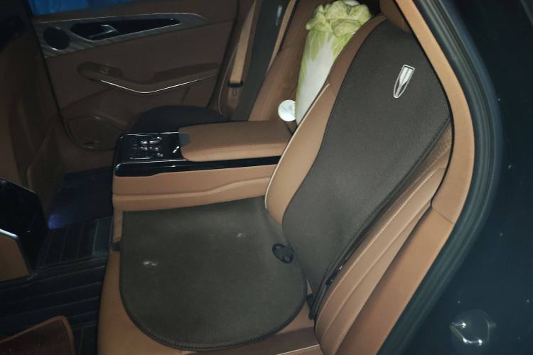 Used Hongqi H9 2020 2.0T Smart Connect Flagship Edition
