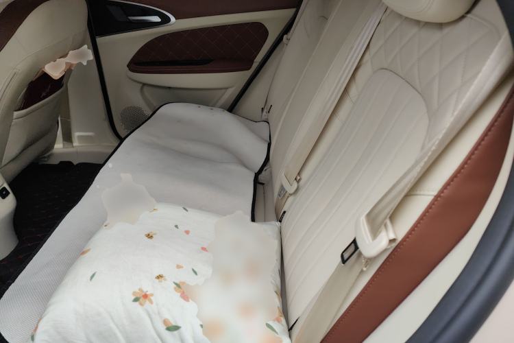 Used ORA Good Cat 2022 Morandi Edition 400km Standard Range Luxury Version Lithium-Ion Battery
